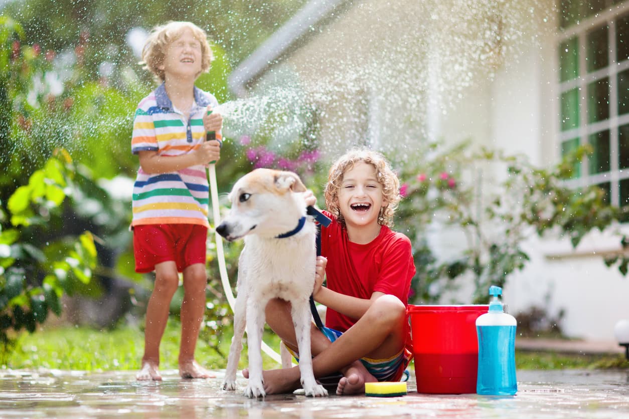 Children washing a dog outdoors with garden hose on a sunny day