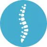 spine icon